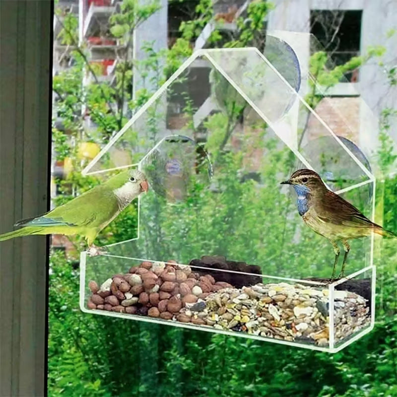 Plastic Bird Cage Outdoor Adhesive Hummingbird Feeder Full View Transparent Organic Glass Bird Nest