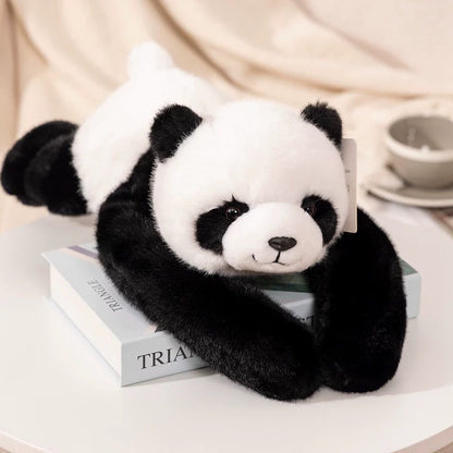 Koala Raccoon Doll Plush Toy