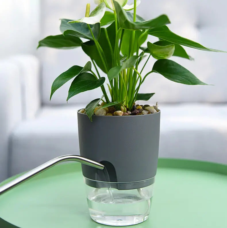 Transparent Double-Layer Self-Watering Flower Pot