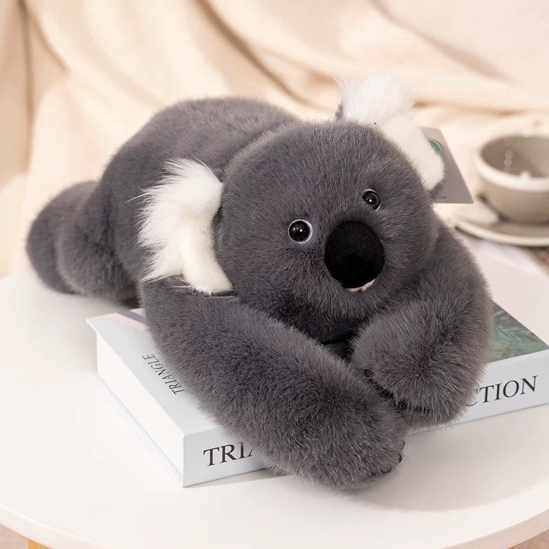 Koala Raccoon Doll Plush Toy