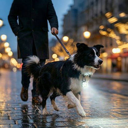 USB Rechargeable 3-Mode LED Pet Safety Light - Glowing Collar for Dogs and Cats