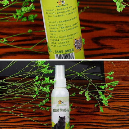 Pet supplies Cat mint spray Cat mint spray inducer