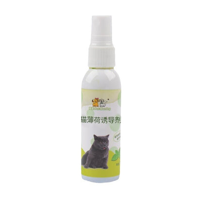 Pet supplies Cat mint spray Cat mint spray inducer