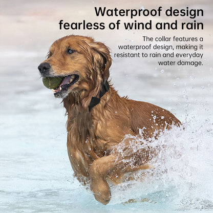 Real-Time GPS Pet Tracker: Long-Range Waterproof Collar with Activity Alert, Anti-Loss Finder Compatible with Apple Find My
