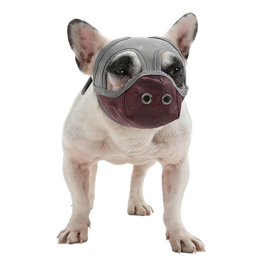 Bullmastiff Mouthguard Flat-Faced Dog Anti-Chew Anti-Bite Drinking Mouthguard