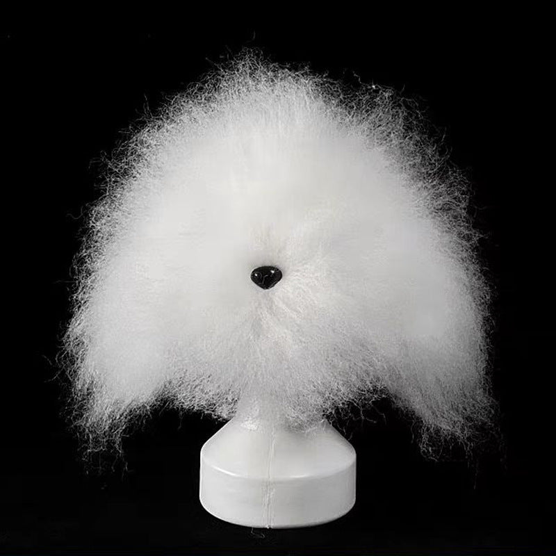 Professional Dog Grooming Training Head | Beginner Pet Styling & Fur Practice Model